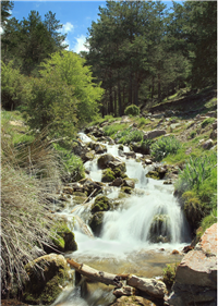 Sierra de Baza