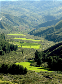 Sierra de Baza