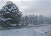 Nevada en El Baul Febrero 2018