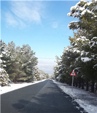 Nevada en El Baul Febrero 2018