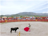 Novillada en El Baúl