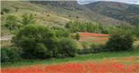 Sierra de Baza