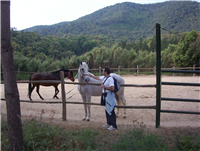 Excursión sierra litoral