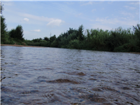 Excursión rio Tordera