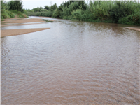 Excursión rio Tordera