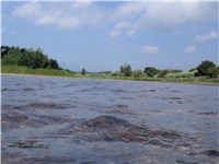 Excursión rio Tordera