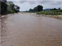 Excursión rio Tordera